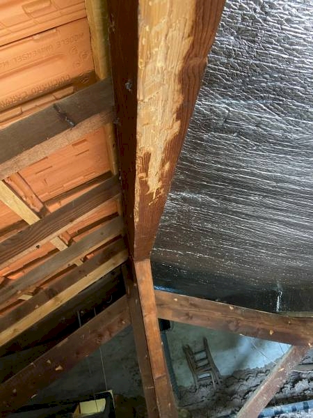 Notre zone d'activité pour ce service Traitement charpente contre termite, mérule & vrillette